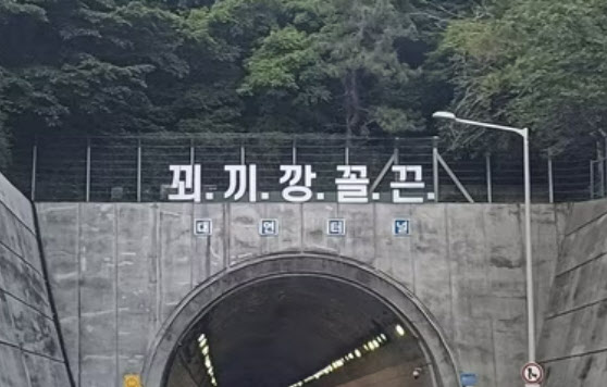 "읽다가 사고 나겠다"…부산 터널 위 ‘꾀끼깡꼴끈’ 괴문자 등장