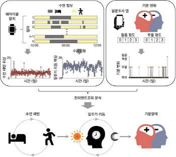 기분장애 환자, 일주기 생체리듬 교란이 우울 증상의 원인