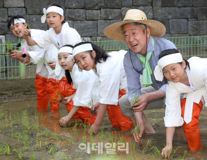 [포토] 전통모내기하는 강호동 농협 회장