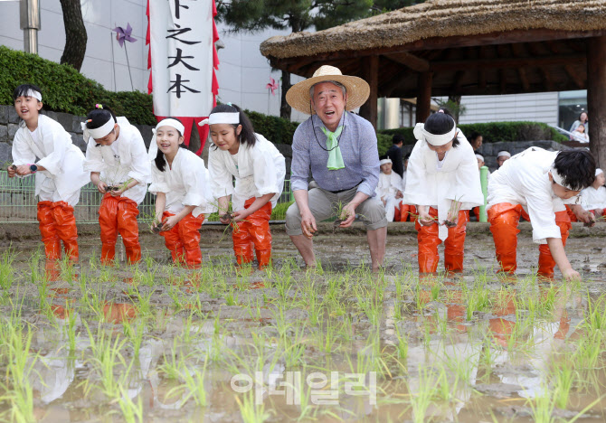 [포토] 농업박물관, 전통 모내기 체험행사