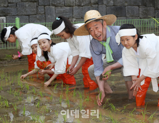 [포토] 강호동 농협회장, 전통 모내기 체험행사