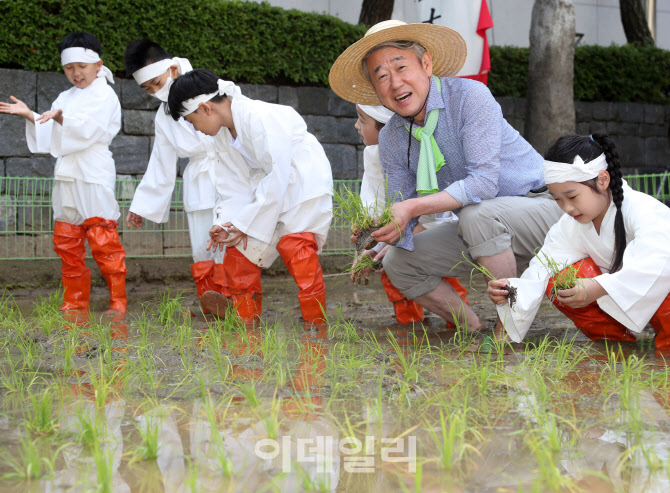 [포토] 전통 모내기 체험하는 강호동 농협회장