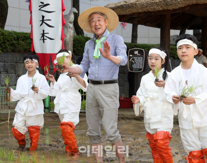 [포토] 농협, 전통 모내기 체험 행사