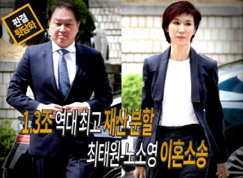 1.3兆 역대 최고 재산 분할…최태원-노소영 이혼소송