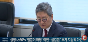 상장사 60% '깜깜이 배당' 여전...금감원 "추가 지원책 마련"