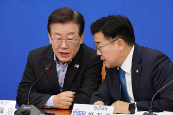 '당원권 강화' 당헌·당규 개정 속도조절 나선 민주당