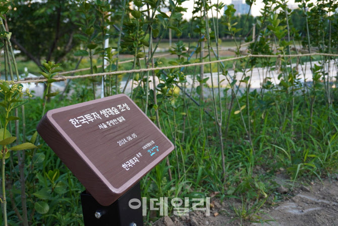 한국투자증권, 서울 중랑천에 '한국투자 생태숲' 조성