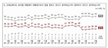 尹대통령 지지율 29%…총선 후 두 달째 30% 하회[NBS]