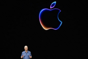 애플, EU DMA 첫 타깃 되나…FT "외부 앱 결제 허용 여전히 문제"