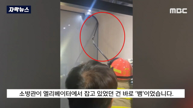 “엘리베이터에 뱀 있어요” 김포 아파트 뱀 출현 소동