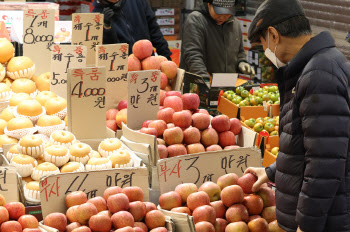金사과 이어 金배, 과일값 급등…정부, 추가 대책 내놨다