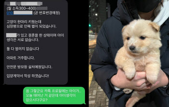 “역대 최악의 선고” 개·고양이 11마리 죽인 상습 입양男 ‘집유’
