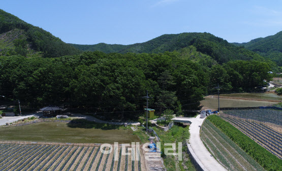 주민들이 지킨 마을숲, 주민들 지켜주는 수호 숲으로 보은