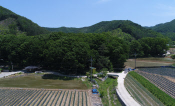 주민들이 지킨 마을숲, 주민들 지켜주는 수호 숲으로 보은