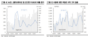 크래프톤, 신작 모멘텀에 ‘배그’ 실적 안정적…목표가↑-한국