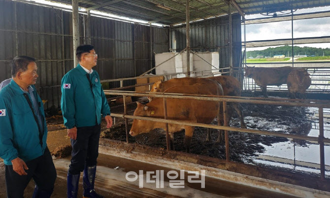 [포토] 피해 축산 농가 살펴보는 안병우 축산경제 대표