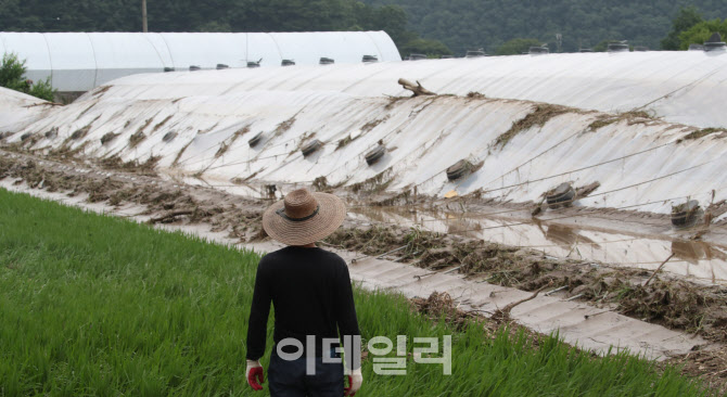 구름 낀 하늘에 소나기…체감온도 33도 이상[오늘날씨]