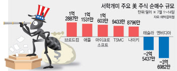 “엔비디아만 능사 아니다”…시야 넓힌 서학개미들 ‘이곳’ 담았다