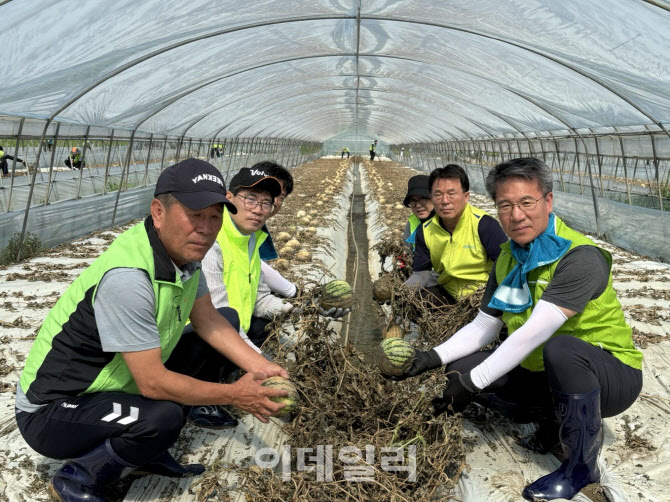 [포토] 수해농가 복구작업하는 박서홍 농업경제대표