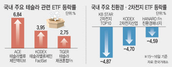 머스크 지지 영향?…트럼프 태우고 달리는 테슬라 ETF