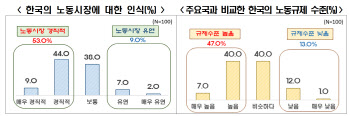 韓 투자 외국기업 절반 이상 "노동시장 경직…노사관계 대립적"