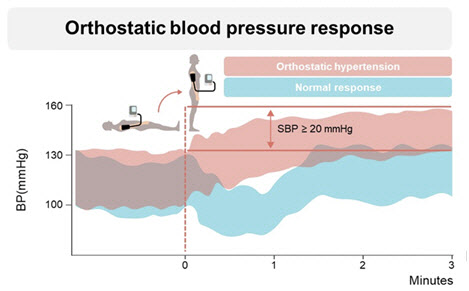 노인 기립성 고혈압, 노쇠·인지기능 및 삶의 질 저하와 연관 깊어
