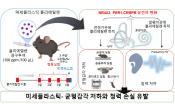 “미세플라스틱, 귀 건강까지 위협한다”