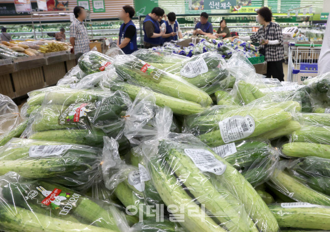 [포토]장마철 채소값 또 들썩