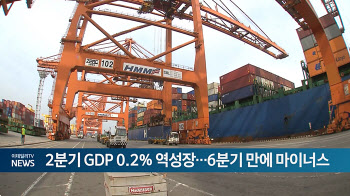 2분기 GDP 0.2% 역성장...6분기 만에 마이너스