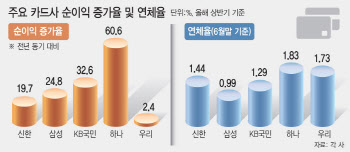 연체율 관리 비상…호실적에도 못 웃는 카드사