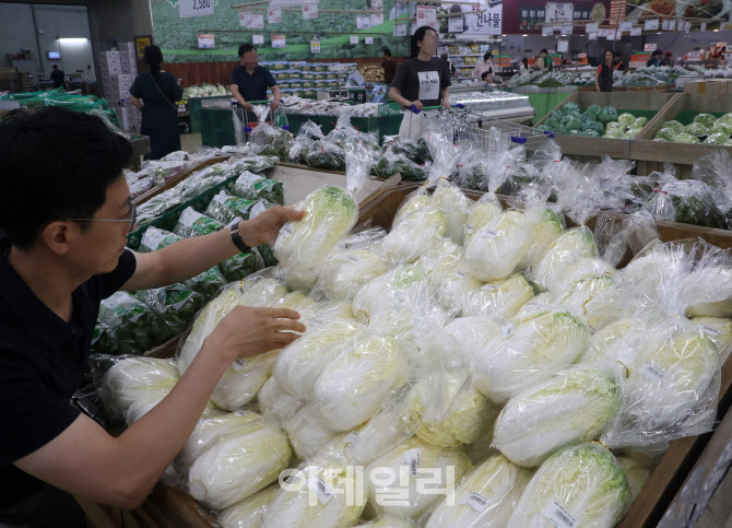 [포토] 장마철 채소값 상승세