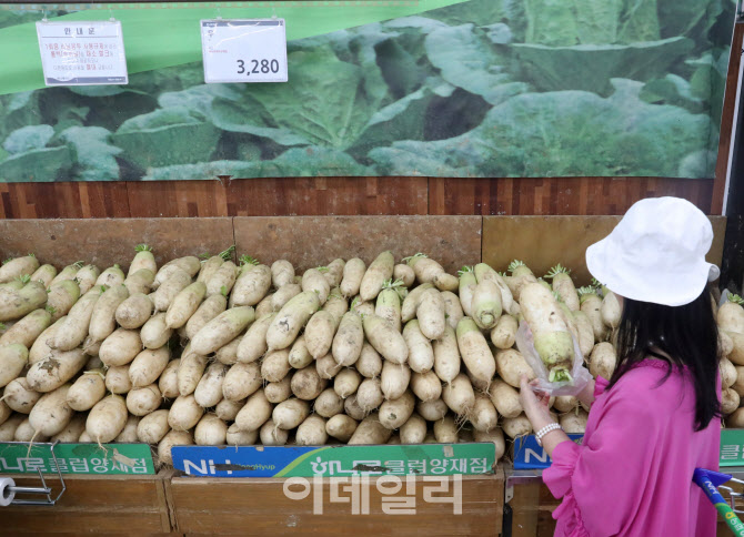 [포토] 폭염과 장마로 채소류 가격 상승