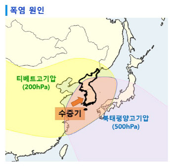 서울 11일째 열대야…"당분간 전국에 폭염 지속"