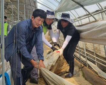  농협경제지주, 폭우 피해 농가 수해복구작업