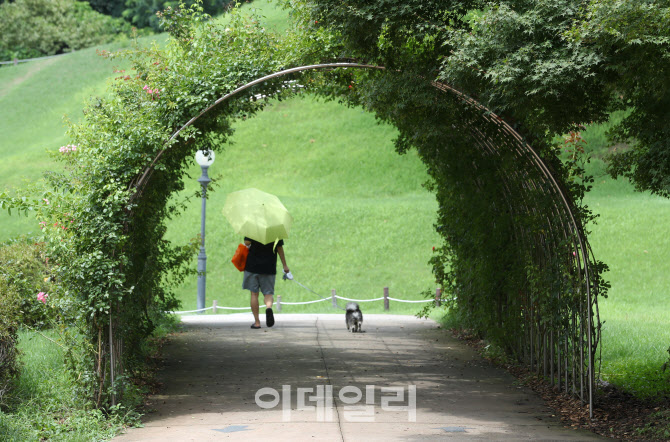 [포토] 가을을 기다림