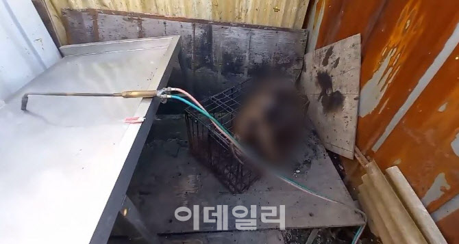 전기 쇠꼬챙이로 불법 개 도살, 화성에서 또 적발