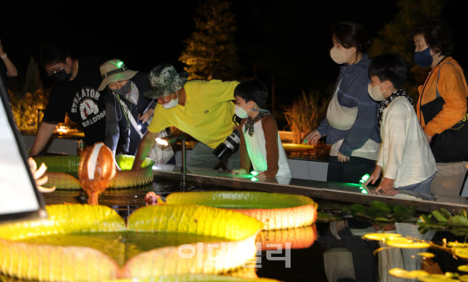 "광릉숲의 여름밤은?"…국립수목원, 8월말 야간특별전시