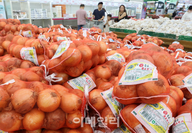 [포토]연이은 폭염에 채소값만 '쑥쑥'