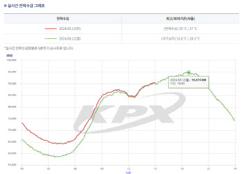 찜통더위 속 전력수요 연일 신기록 행진…수급 차질은 없어