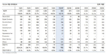 YG엔터, 대형 IP 공백에 연간 실적 하향 조정…목표가↓-유안타