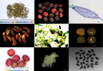 국립수목원, 종자은행 재정비…종자주권·생물다양성 확보