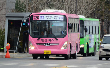 남양주 '어르신 교통비 지원' 효과 만점…5만명 이상 이용