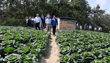 김범석 기재차관 “한가위, 배추 공급 대폭 늘려 물가걱정 덜겠다”