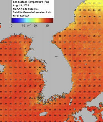 평년보다 뜨거워진 바다…적조·해파리·산소부족물덩어리 ↑