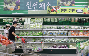 생산자물가 한달만에 다시 올라…상추·오이 가격 급등