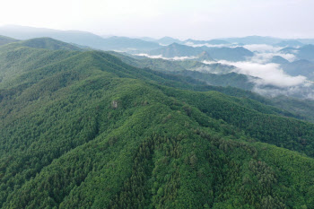 무위(無爲)의 산에서 겸손과 조화를 배운다