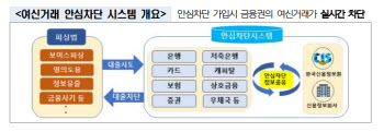 악성앱에 탈취된 1억, 이젠 사전에 막는다…'여신거래 안심차단' 시행