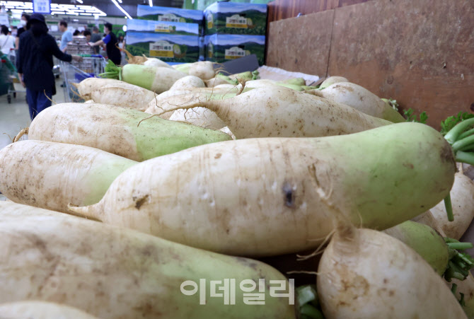 [포토]추석 앞두고 채소값 폭등 '비상'