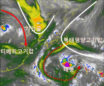 잠시 멈춘 서울 열대야, '종료'는 시기상조…주 후반 기승 가능성