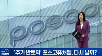 [이지혜의 뷰]'주가 반토막' 포스코퓨처엠, 다시 날까?